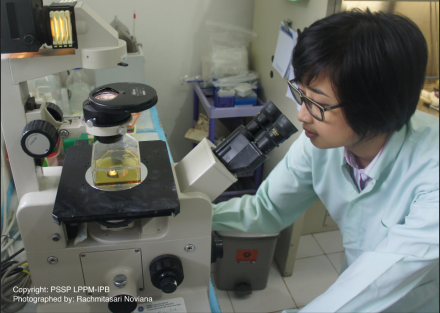 <p>Dr. Fitriya Nur Annisa Dewi peers into a microscope, 2017<br />
Bogor, Indonesia<br />
Photograph by Rachmitasari Noviana</p>
<p>Presented by the ASEAN Committee on Science and Technology and the U.S. Department of State in partnership with Underwriters Laboratories, the 2017 ASEAN-U.S. Science Prize for Women supported women scientists whose research focuses on urban resilience. Dr. Fitriya Nur Annisa Dewi, who leads the Biomedical Program at the Bogor Agricultural Institute in Indonesia, was a finalist in 2014.</p>
<p>U.S. Mission to ASEAN Flickr</p>
