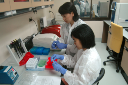 <p>Laboratory workers at the GDD Regional Center,<br />
c. 2013-2016<br />
Nonthaburi, Thailand</p>
<p>The Centers for Disease Control and Prevention (CDC) has worked alongside the Ministry of Public Health in Thailand since 1980 to address major public health challenges in the country. In 2004, CDC established a Global Disease Detection Regional Center to focus on emerging infectious diseases in Thailand and the Asia-Pacific region. In this image, laboratory workers from the Thai National Institute of Health and Chulalongkorn University learn to identify Zika and Chikungunya viruses.</p>
<p>Centers for Disease Control and Prevention</p>
