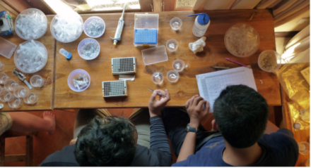 <p>Students work on a marine genetics project, 2011<br />
Bali, Indonesia<br />
Photograph by Christopher Meyer</p>
<p>The Indonesian Biodiversity Research Center (IBRC)—founded by universities in Indonesia and the United States, along with the Smithsonian Institution—is funded by USAID and the National Science Foundation. The IBRC promotes environmental stewardship in Indonesia, one of the most biodiverse places on the planet, through increasing research in its scientific communities.</p>
<p>Smithsonian Institution</p>
