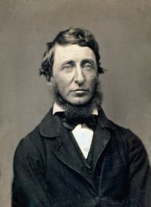 <p>Henry David Thoreau, 1856<br />
Daguerreotype by Benjamin D. Maxham<br />
Courtesy of the National Portrait Gallery, Smithsonian Institution; gift of anonymous donor, NPG.72.119</p>
