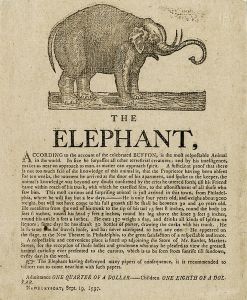 <p>“The Elephant” broadside, 1797<br />
Courtesy of the Collection of the New-York Historical Society, SY1797 no. 26</p>
