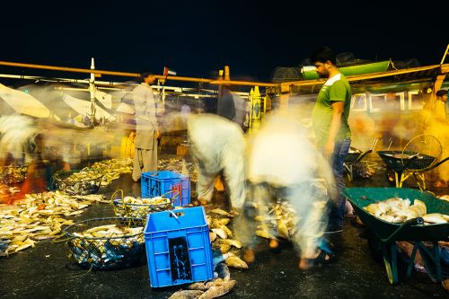 <em>Fish Market I</em> | Ammar Al Attar