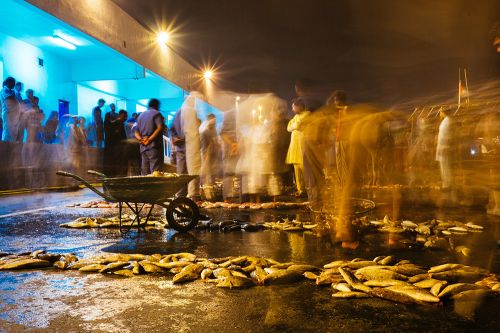<em>Fish Market II</em> | Ammar Al Attar