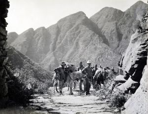 <p>Frank N. Meyer’s expedition caravan on a mountain path, 1913<br />
Near Ying Daoge, Hebei Province<br />
Courtesy of Special Collections, National Agricultural Library</p>
