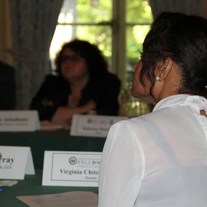 Fellows discuss their own challenges in accessing capital.