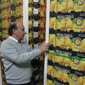 Looking at imported Chilean citrus fruit at Holt Logistics breakbulk terminal in Philadelphia Jorge Leyton