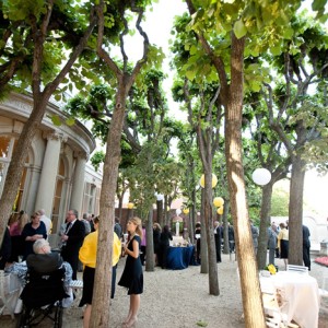 A grove of 80-year-old spanish linden trees provides a unique setting for cocktail receptions and wedding ceremonies.