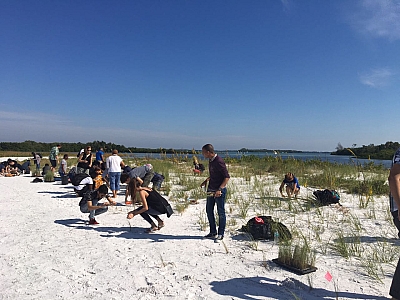 Murrow Participants planting Sea Oats in Tampa, FL