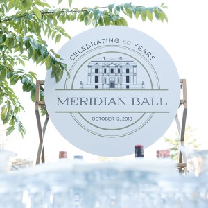 181012-meridian-ball-003