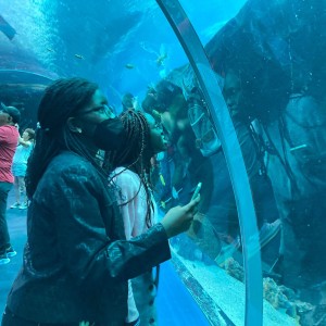 01 Atlanta – Georgia Aquarium